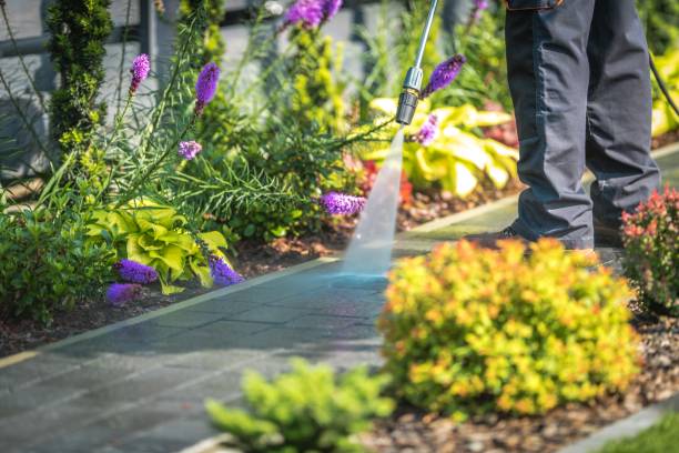 Best Parking Lot and Garage Cleaning  in Victoria, TX