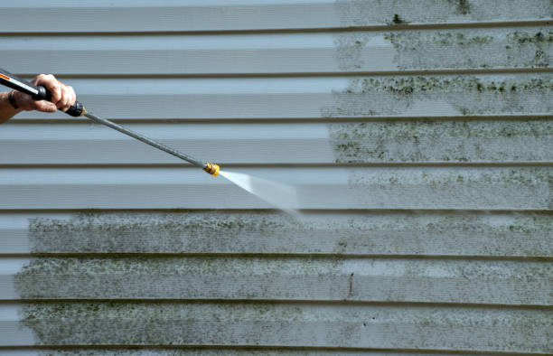 Best Sidewalk and Walkway Cleaning  in Victoria, TX